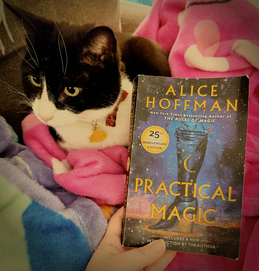 Practical magic with cat